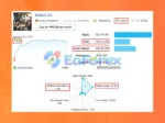 BitBull EA Live Trading