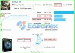 BitBull EA Live Trading