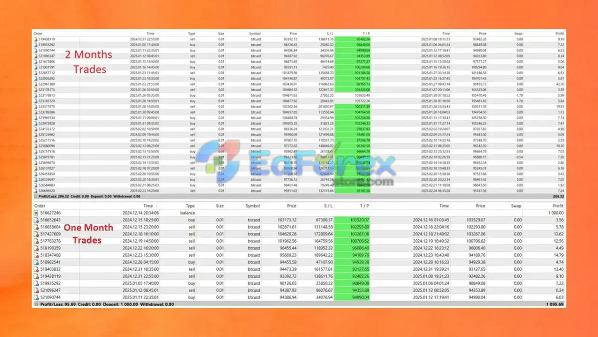 Bitcoin Expert MT4 Review