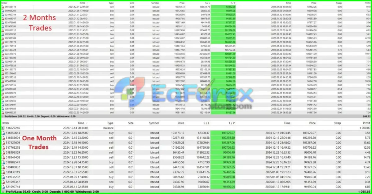 Bitcoin Expert MT4 Review