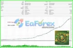 Bitcoin Magnet X Turbo EA MT4 Backtest Results