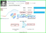 Black Punisher EA Live Trading