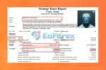 Crazy Trend EA Backtest Results