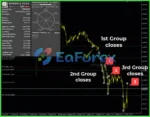 Dynamic Pips MT4 Reviews