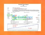 EA BiC MT4 Backtests Results