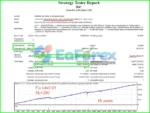 EA BiC MT4 Backtests Results