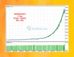 Easy Neural Network EA Review