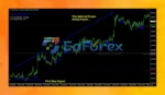 FOREX Trend Analyzer PRO Reviews