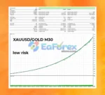 Fenghuang Rig EA Backtest Trading Results