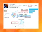 Fenghuang Rig EA MT4 Real Trading Results