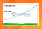 Fenghuang Rig EA MT4 Test Results - Gold Low Risk