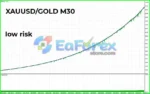 Fenghuang Rig EA MT4 Test Results - Gold Low Risk