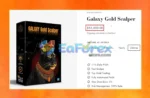 Galaxy Gold Scalper Overview