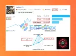 HeXon FX Live Trading