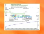 Hitech EA Backtests Results