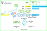 Market Pulse EA Live Trading