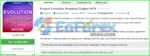 Project Evolution Breakout Scalper MT4 Overview