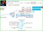 Real Trading Results of Phoenix Rig EA MT4