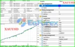 ScalpAuT EA MT5 Backtest Results