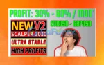 Scalper 2030 PRO EA MT4 Setting and Backtest