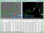 Schrodinger trading machine EA MT4 Backtests