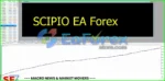 Scipio EA Review