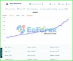 Stock Indexes EA MT4 Review