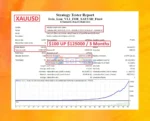 Tesla Lion EA MT4 Backtest Results
