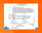 The Revolution Simple Trade EA MT4 Review