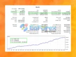 Vini MT4 Backtest Results