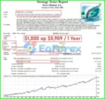 Wave Hunter EA Backtests Trading Results