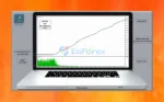 AI Multi Trend MT4 Evaluate