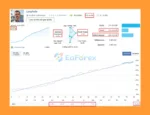 Loophole EA Live Trading Results