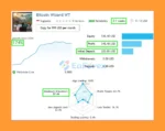 Bitcoin Wizard EA real trading results