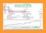 Prado EA MT4 Backtest