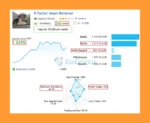 R Factor EA MT5 Live Trading Results