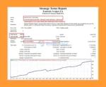 Fantastic Scalper EA MT4 backstets