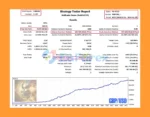 Golden Shine EA Backtest Results with GBPUSD