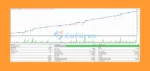 Forex Pip Killer EA MT4 review