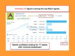 MultiWay EA MT5 Backtest Results