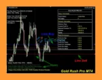 Gold Rush Pro MT4 Reviews