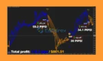 Forex Jupiter EA MT4 Reviews