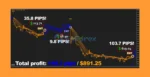 Forex Jupiter EA MT4 Review