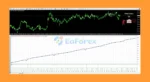 FOREX BANK MT4 review