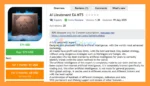 Ai Lieutenant EA MT5 Overview