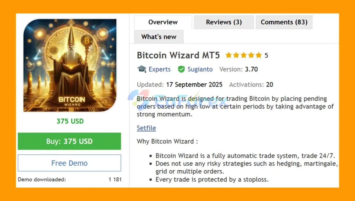 Bitcoin Wizard MT5 Overview
