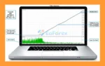 Dragon Multi EA MT5 Backtests Trading Results