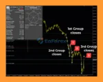 Dynamic Pips MT5 Reviews