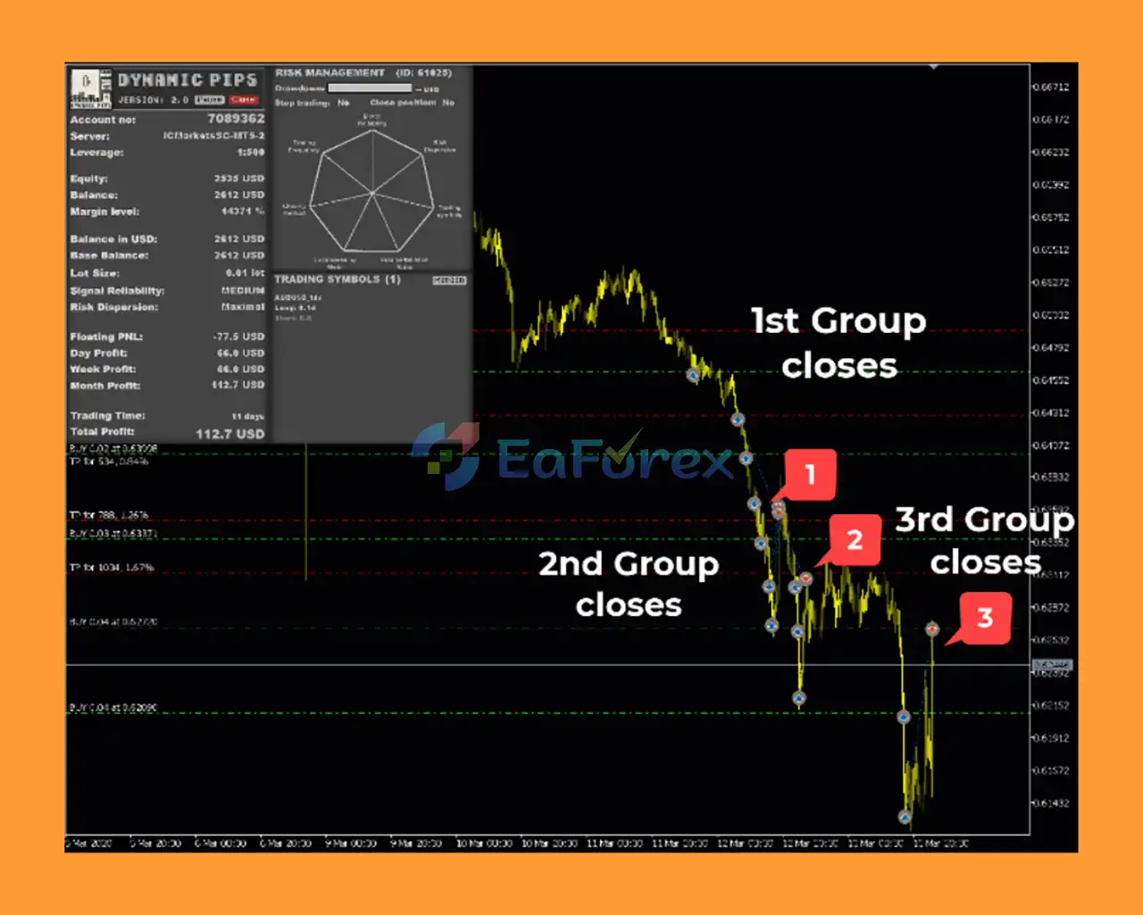 Dynamic Pips MT5 Reviews