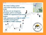 Lucky Euro MT5 Reviews